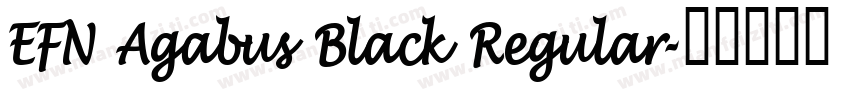 EFN Agabus Black Regular字体转换